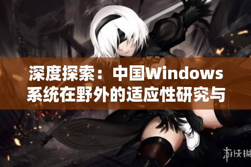 深度探索：中國(guó)Windows系統(tǒng)在野外的適應(yīng)性研究與解析