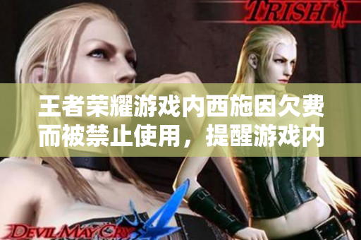 王者榮耀游戲內(nèi)西施因欠費而被禁止使用，提醒游戲內(nèi)賒賬風險