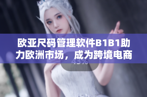 歐亞尺碼管理軟件B1B1助力歐洲市場(chǎng)，成為跨境電商智選！