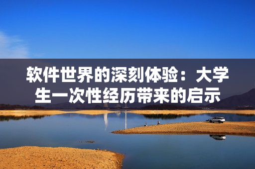 軟件世界的深刻體驗(yàn)：大學(xué)生一次性經(jīng)歷帶來的啟示