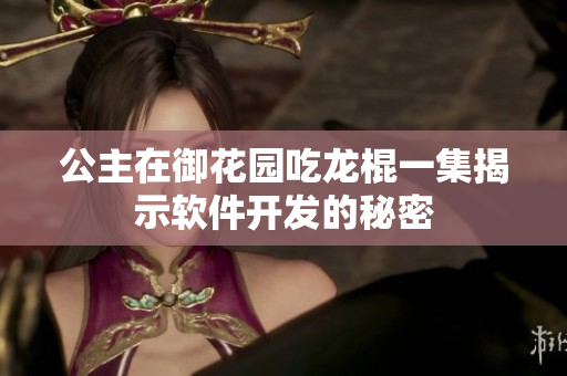 公主在御花園吃龍棍一集揭示軟件開發(fā)的秘密
