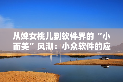 從婢女桃兒到軟件界的“小而美”風(fēng)潮：小眾軟件的應(yīng)用與優(yōu)勢(shì)