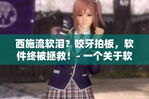 西施流軟淚？咬牙拍板，軟件終被拯救！- 一個關(guān)于軟件故障和修復(fù)的故事