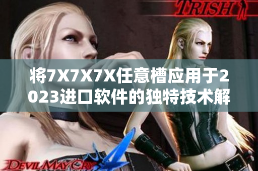 將7X7X7X任意槽應(yīng)用于2023進(jìn)口軟件的獨(dú)特技術(shù)解析