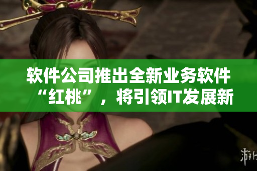 軟件公司推出全新業(yè)務(wù)軟件“紅桃”，將引領(lǐng)IT發(fā)展新潮流！