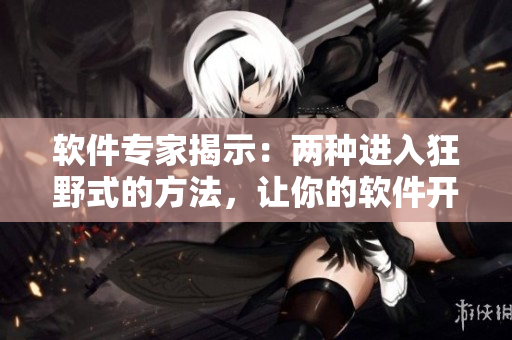 軟件專家揭示：兩種進(jìn)入狂野式的方法，讓你的軟件開發(fā)更高效！