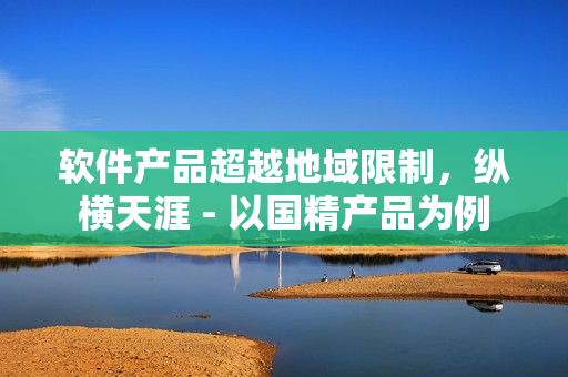 軟件產(chǎn)品超越地域限制，縱橫天涯 - 以國(guó)精產(chǎn)品為例