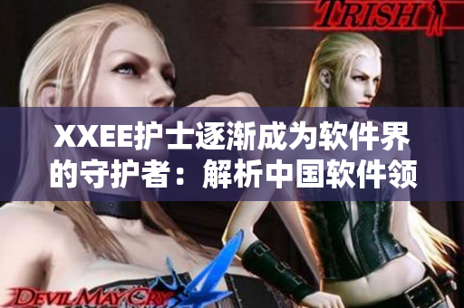 XXEE護(hù)士逐漸成為軟件界的守護(hù)者：解析中國(guó)軟件領(lǐng)域的安全問(wèn)題
