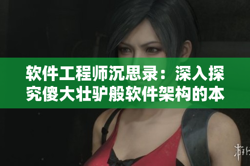軟件工程師沉思錄：深入探究傻大壯驢般軟件架構(gòu)的本質(zhì)