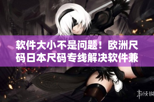 軟件大小不是問題！歐洲尺碼日本尺碼專線解決軟件兼容性困擾