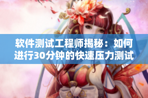 軟件測試工程師揭秘：如何進(jìn)行30分鐘的快速壓力測試？