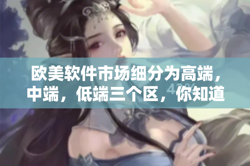 歐美軟件市場細分為高端，中端，低端三個區(qū)，你知道它們的區(qū)別嗎？