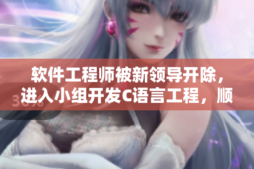 軟件工程師被新領(lǐng)導(dǎo)開除，進入小組開發(fā)C語言工程，順利重建信心