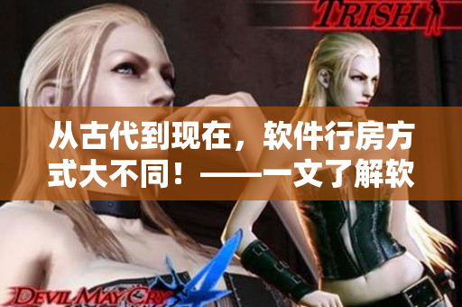 從古代到現(xiàn)在，軟件行房方式大不同！——一文了解軟件行房變遷史