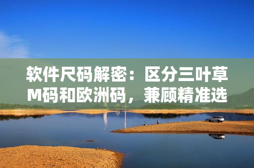 軟件尺碼解密：區(qū)分三葉草M碼和歐洲碼，兼顧精準(zhǔn)選擇