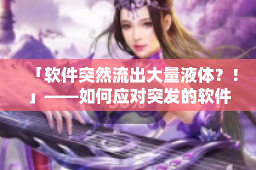 「軟件突然流出大量液體？！」——如何應(yīng)對(duì)突發(fā)的軟件數(shù)據(jù)泄漏問題？