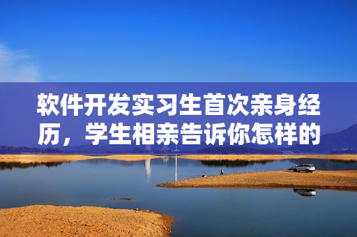 軟件開發(fā)實習(xí)生首次親身經(jīng)歷，學(xué)生相親告訴你怎樣的編程技能更受青睞