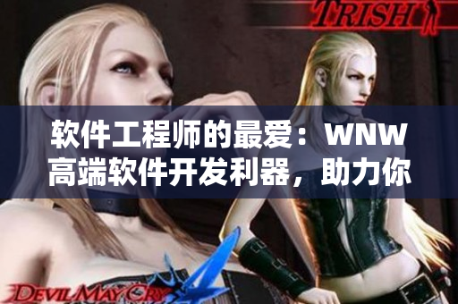 軟件工程師的最愛：WNW高端軟件開發(fā)利器，助力你的項目成功