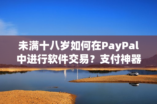 未滿十八歲如何在PayPal中進(jìn)行軟件交易？支付神器帶你輕松體驗(yàn)！