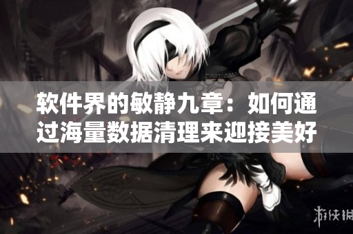 軟件界的敏靜九章：如何通過海量數(shù)據(jù)清理來迎接美好春天