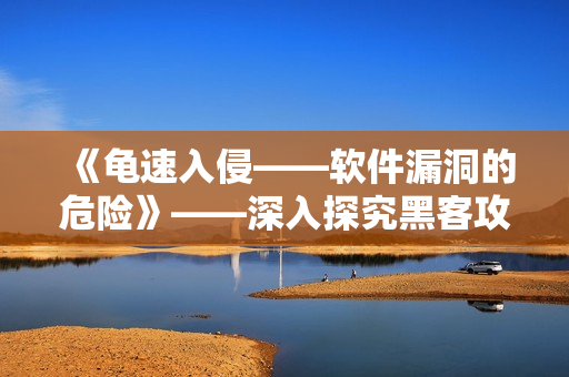 《龜速入侵——軟件漏洞的危險》——深入探究黑客攻擊面及防范方法