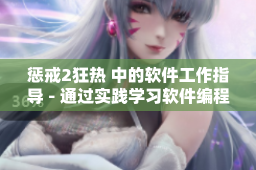 懲戒2狂熱 中的軟件工作指導(dǎo) - 通過實踐學(xué)習(xí)軟件編程技巧