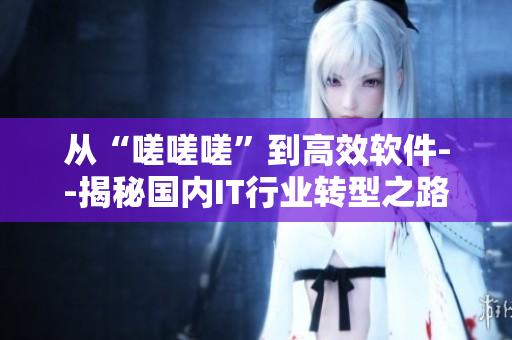 從“嗟嗟嗟”到高效軟件--揭秘國內(nèi)IT行業(yè)轉(zhuǎn)型之路
