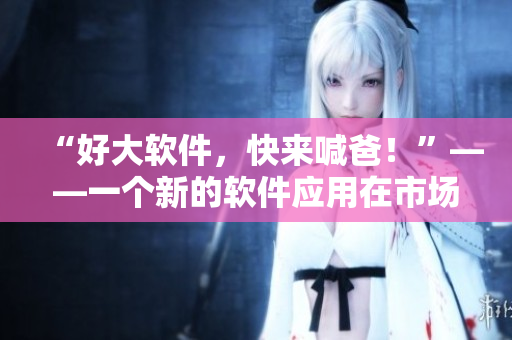 “好大軟件，快來喊爸！”——一個新的軟件應用在市場上的崛起