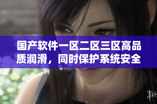 國產(chǎn)軟件一區(qū)二區(qū)三區(qū)高品質(zhì)潤滑，同時(shí)保護(hù)系統(tǒng)安全