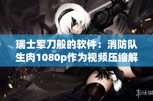 瑞士軍刀般的軟件：消防隊(duì)生肉1080p作為視頻壓縮解決方案