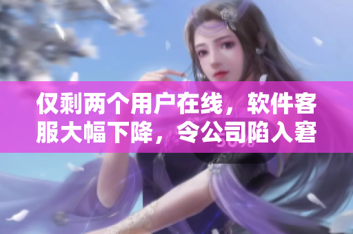 僅剩兩個用戶在線，軟件客服大幅下降，令公司陷入窘境