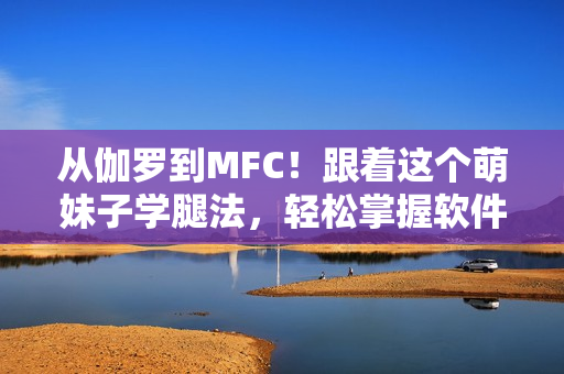 從伽羅到MFC！跟著這個(gè)萌妹子學(xué)腿法，輕松掌握軟件開發(fā)技巧！