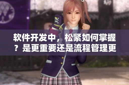 軟件開發(fā)中，松緊如何掌握？是更重要還是流程管理更關(guān)鍵！