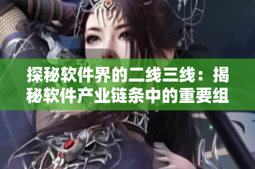 探秘軟件界的二線三線：揭秘軟件產(chǎn)業(yè)鏈條中的重要組成部分