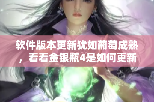 軟件版本更新猶如葡萄成熟，看看金銀瓶4是如何更新的