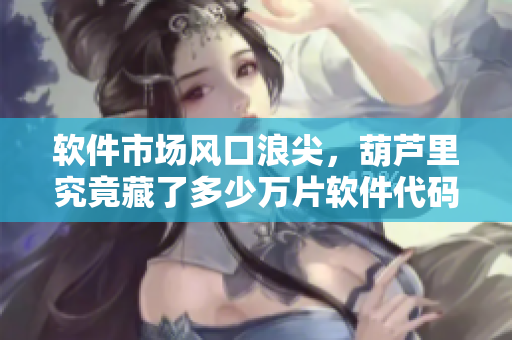 軟件市場風(fēng)口浪尖，葫蘆里究竟藏了多少萬片軟件代碼？