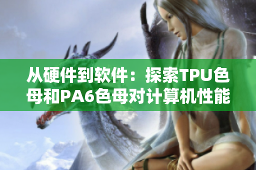 從硬件到軟件：探索TPU色母和PA6色母對計算機性能的影響