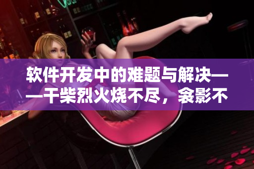 軟件開發(fā)中的難題與解決——干柴烈火燒不盡，衾影不問醒夢時(shí)