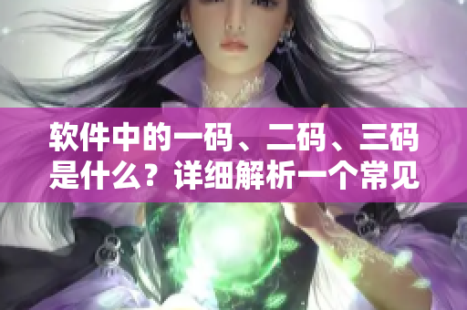 軟件中的一碼、二碼、三碼是什么？詳細(xì)解析一個常見的疑問