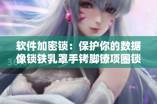軟件加密鎖：保護(hù)你的數(shù)據(jù)像鎖鐵乳罩手銬腳鐐項圈鎖一樣安全！