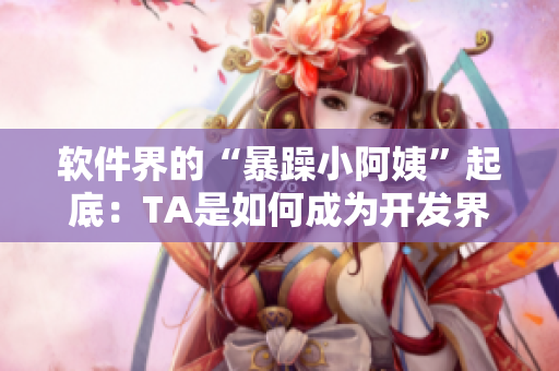 軟件界的“暴躁小阿姨”起底：TA是如何成為開發(fā)界的“網(wǎng)紅”？