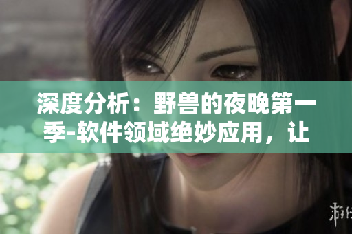 深度分析：野獸的夜晚第一季-軟件領域絕妙應用，讓你忘不掉的前任