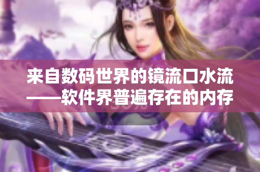 來自數(shù)碼世界的鏡流口水流——軟件界普遍存在的內(nèi)存泄漏問題
