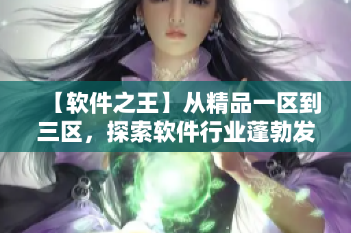 【軟件之王】從精品一區(qū)到三區(qū)，探索軟件行業(yè)蓬勃發(fā)展之路