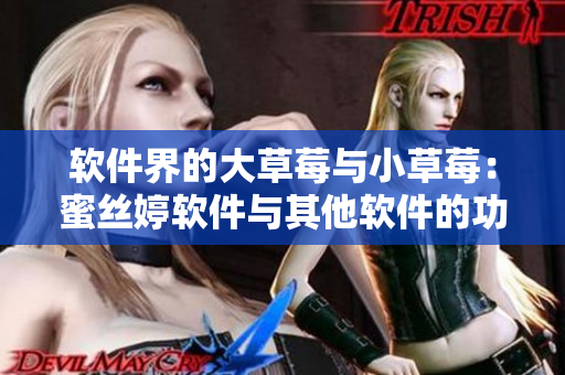 軟件界的大草莓與小草莓：蜜絲婷軟件與其他軟件的功能對(duì)比