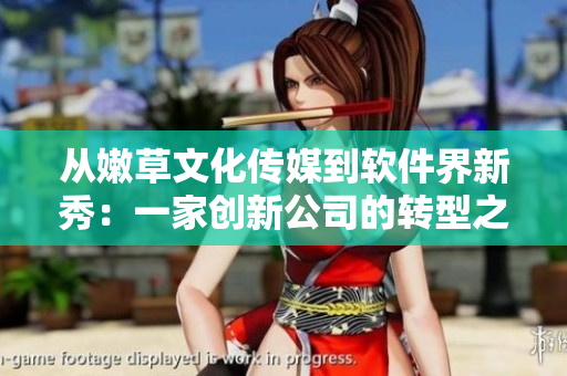 從嫩草文化傳媒到軟件界新秀：一家創(chuàng)新公司的轉(zhuǎn)型之路