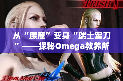 從“魔窟”變身“瑞士軍刀”——探秘Omega教養(yǎng)所地下室軟件的發(fā)展歷程