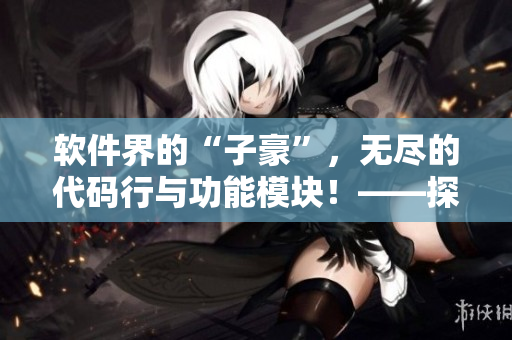 軟件界的“子豪”，無盡的代碼行與功能模塊！——探尋軟件開發(fā)能手的秘密