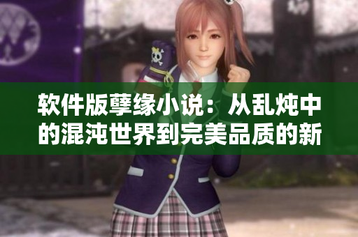 軟件版孽緣小說：從亂燉中的混沌世界到完美品質(zhì)的新時(shí)代