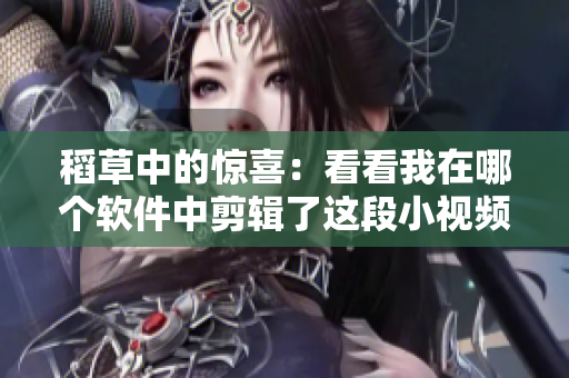 稻草中的驚喜：看看我在哪個(gè)軟件中剪輯了這段小視頻